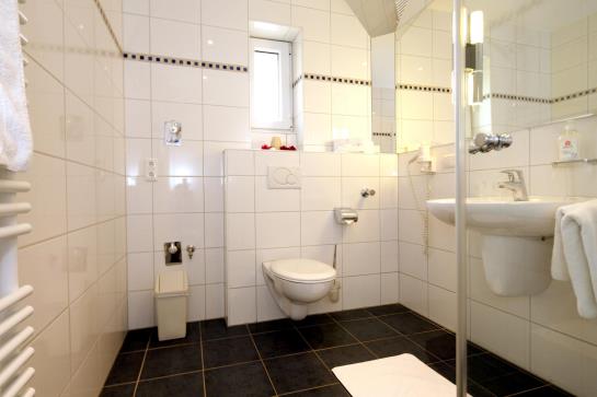 Hotel Mariaweiler Hof 8