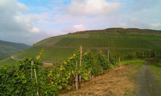 Hôtel Karlsmühle 2