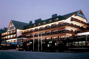 Hotel Sauerland Alpin 1