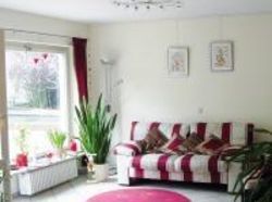 Minotel Hotel Braun 4