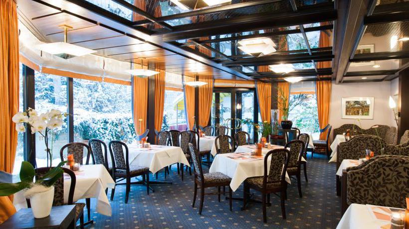 Hotel Klee am Park 10