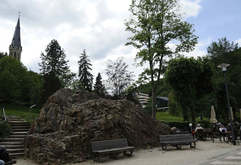 Hôtel Schlangenbader Hof 1