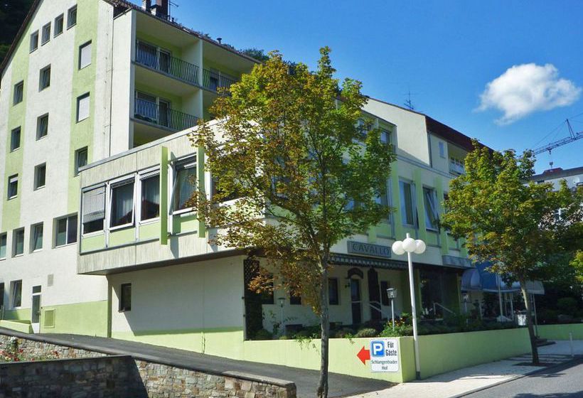 Hôtel Schlangenbader Hof 8