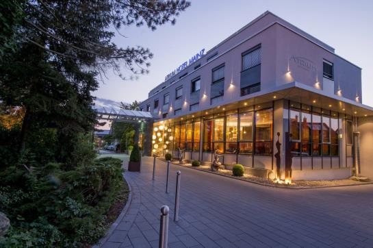 Atrium Hotel Mainz 2