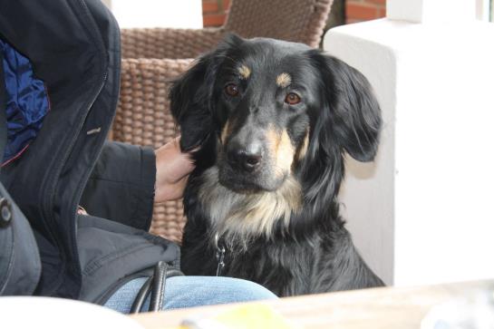 Ringhotel Adler-Post 7