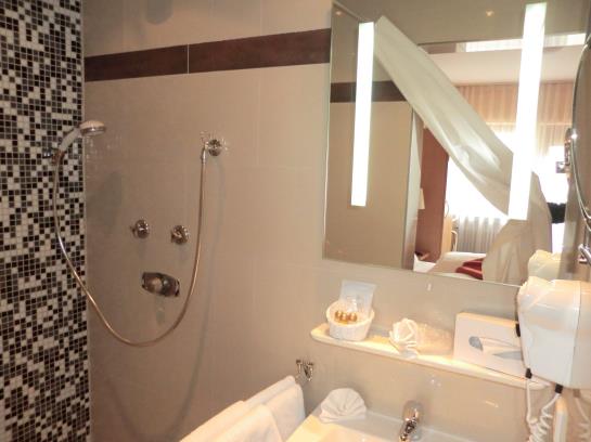 Hotel Zum Altenberg 1