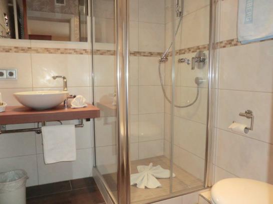 Hotel Zum Altenberg 4