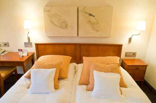 Ringhotel Zum Roten Bären 5