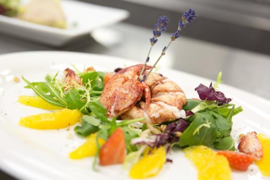 Mercure Hotel Panorama Freiburg 13