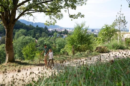 Mercure Hotel Panorama Freiburg 8