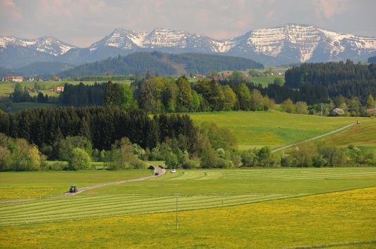 Berghotel Jägerhof 4