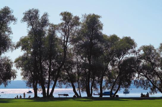 Silencehotel Piushof 5