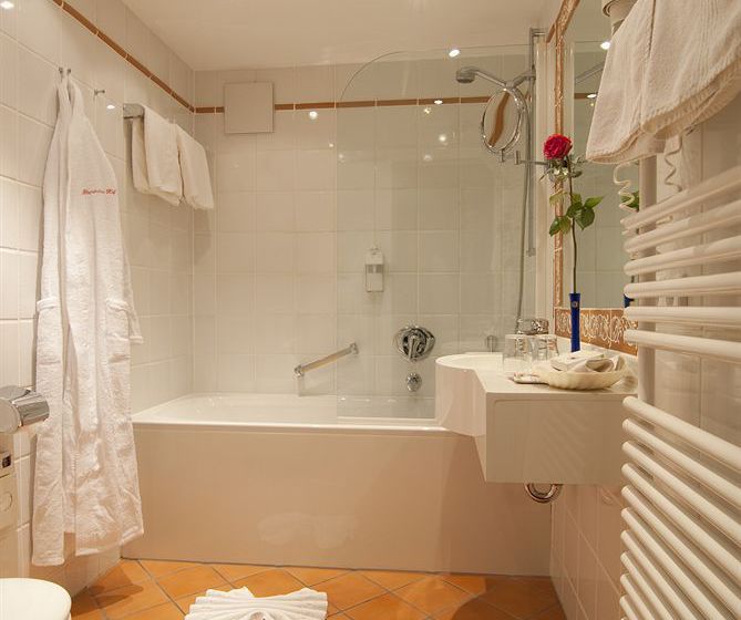 Hotel Rheinischer Hof 16