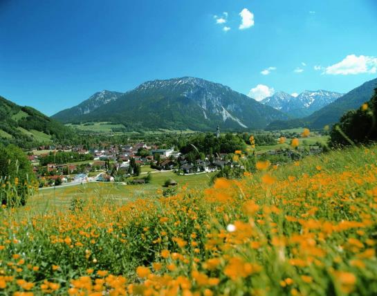 Hotel Ruhpoldinger Hof 4