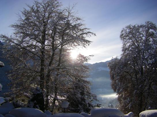 Alpenhotel Kronprinz 4