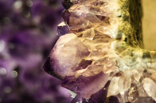 Hotel Hofbräuhaus 14