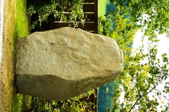 Hotel Hofbräuhaus 5