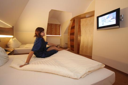 Hotel Passauer Wolf 10