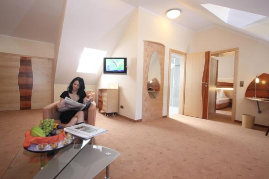 Hotel Passauer Wolf 14