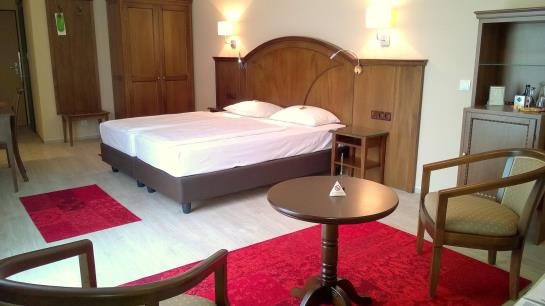 Burghotel Grosses Haus 9