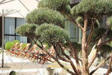 Ramada Nuernberg Parkhotel 12