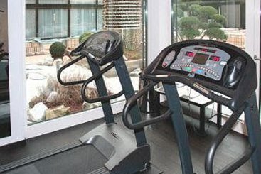 Ramada Nuernberg Parkhotel 8