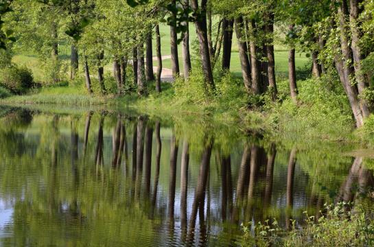 Golfhotel Fahrenbach 3