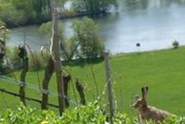 Hotel Vier Jahreszeiten 12