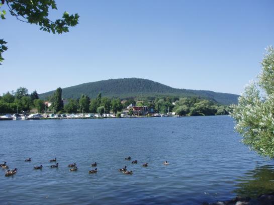 Flair Hotel Hopfengarten 19