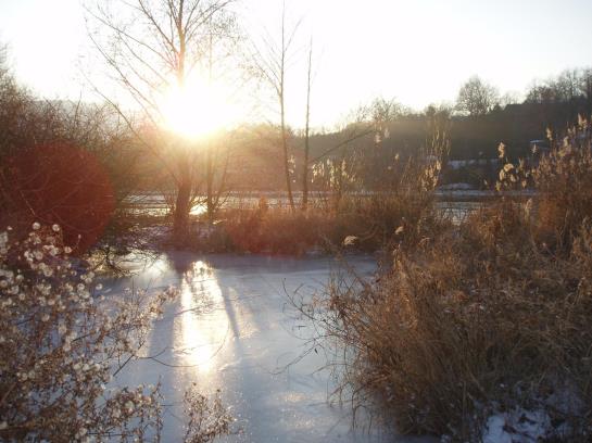 Flair Hotel Hopfengarten 2