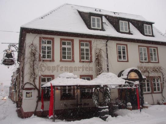 Flair Hotel Hopfengarten 3