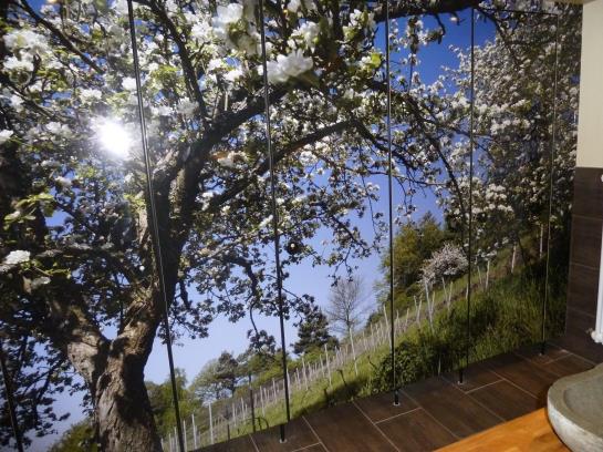 Flair Hotel Hopfengarten 4