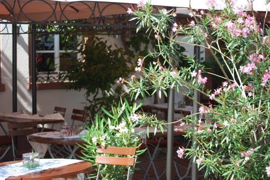 Flair Hotel Hopfengarten 6