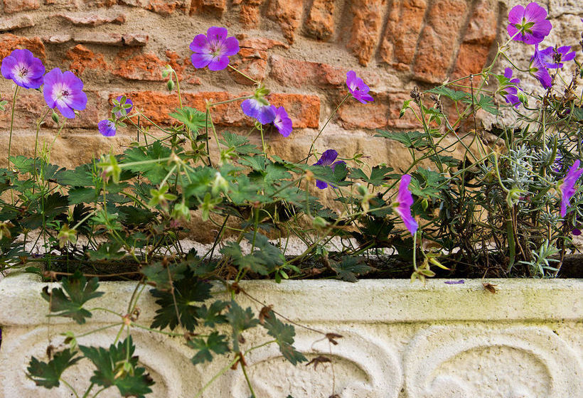 Romantik Hotel Markusturm 12