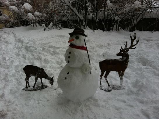 Romantik Hotel Sonne 6