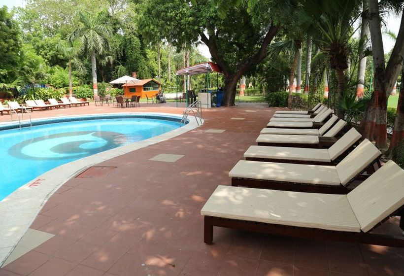 Hotel Clark Shiraz 3