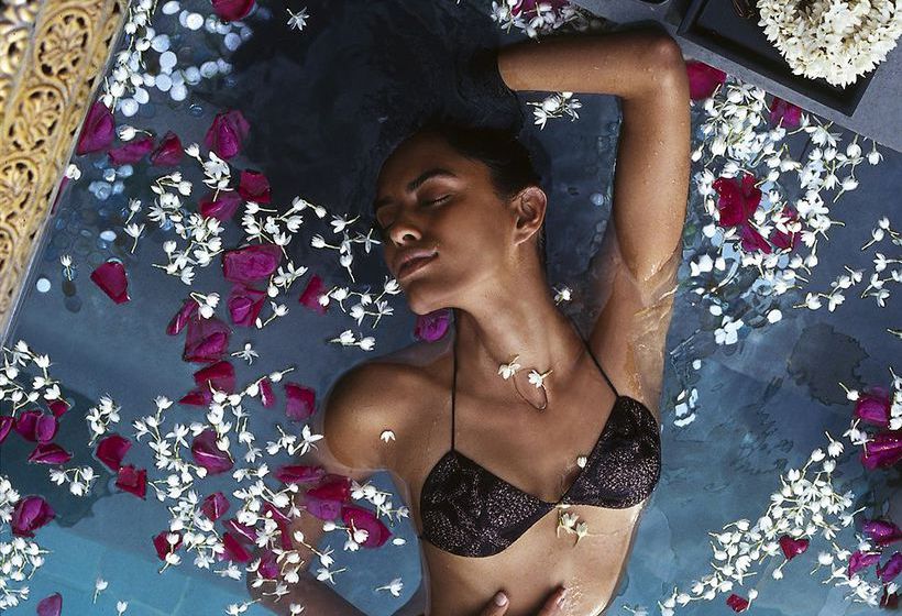 Hotel Usha Kiran Palace 4