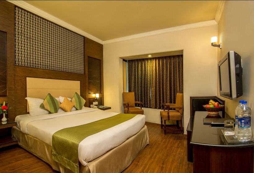 Hotel Vikram Vintage Inn 17