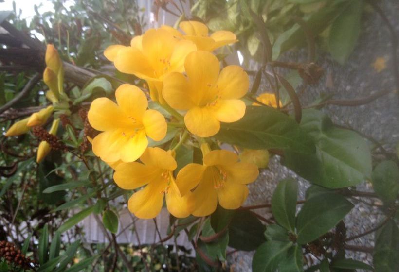 Hotel Travellers International Motor Inn 17