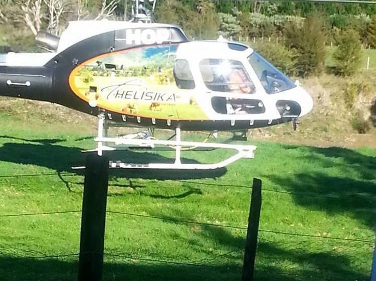 Hotel Bay of Islands Country Lodge 10