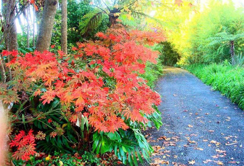 Hotel Colonial House Kerikeri