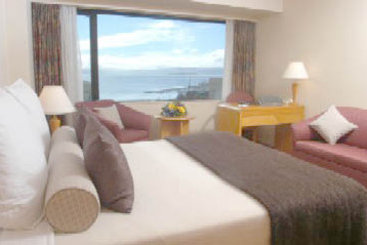 Hotel Flag Plaza International 7