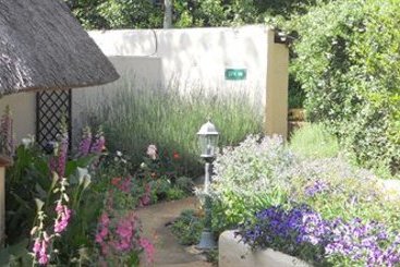 Hotel Granny Mouse Country House 19