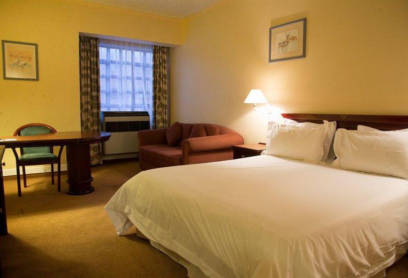 Hotel Splendid Inn King David 12