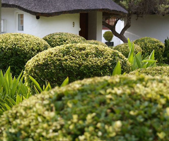 Protea Hotel Oudtshoorn Riempie Estate 3