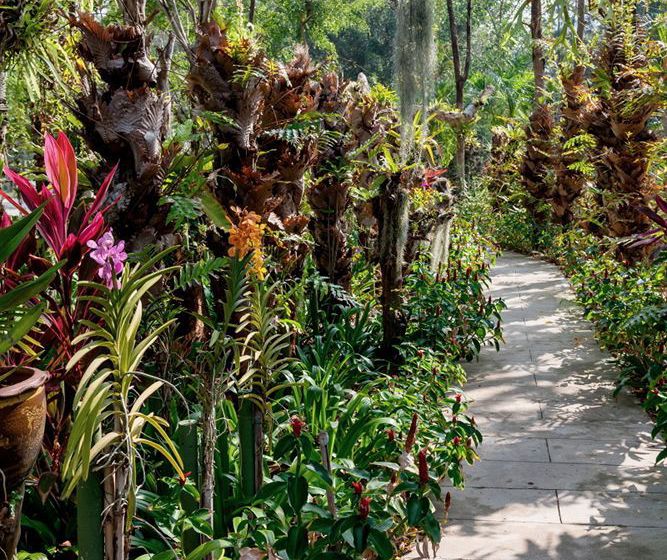 Thavorn Palm Beach Resort 4