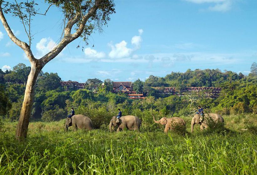 Hotel Anantara Golden Triangle Resort & Spa 12