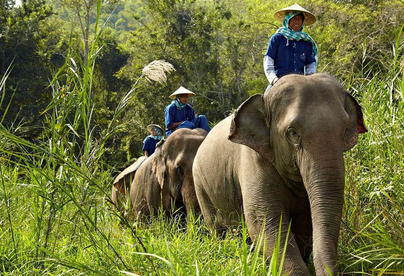 Hotel Anantara Golden Triangle Resort & Spa 7