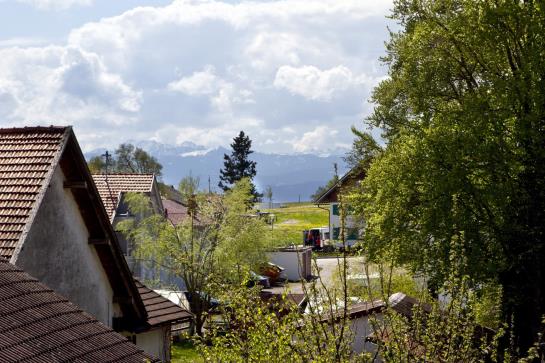 Goldenes Kreuz Hotel & Restaurant 3