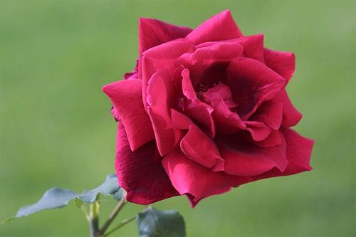 Hotel Rosenhof Country House 10